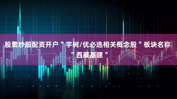股票炒股配资开户＂宇树/优必选相关概念股＂板块名称 ＂西藏基建＂