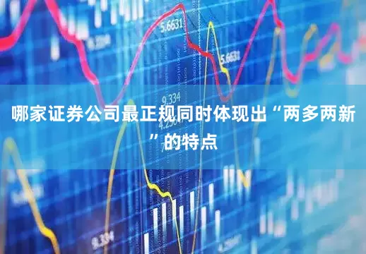 哪家证券公司最正规同时体现出“两多两新”的特点