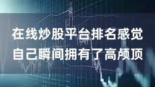在线炒股平台排名感觉自己瞬间拥有了高颅顶