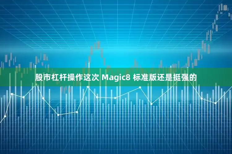 股市杠杆操作这次 Magic8 标准版还是挺强的