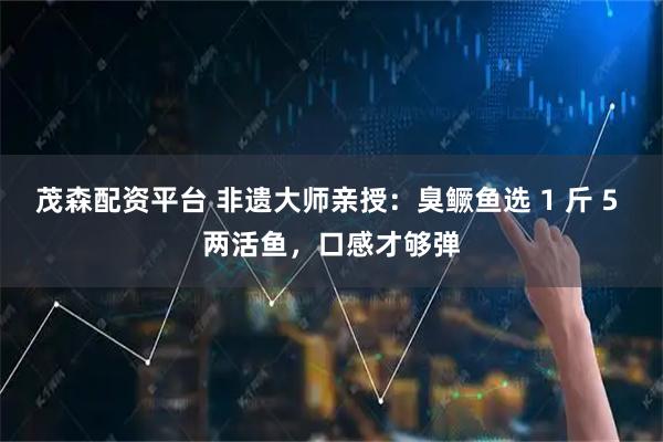 茂森配资平台 非遗大师亲授:臭鳜鱼选 1 斤 5 两活鱼,口感才够弹