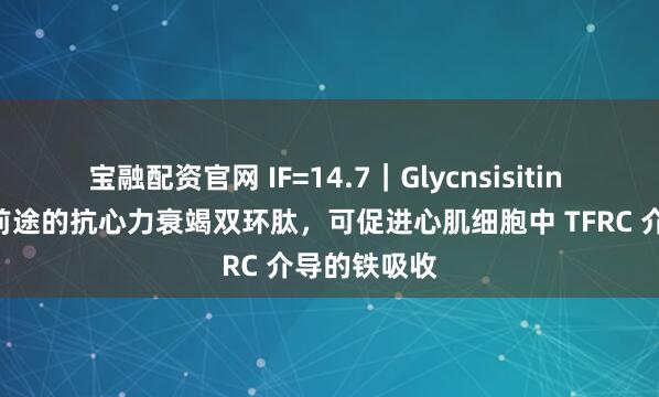 宝融配资官网 IF=14.7｜Glycnsisitin A：一种有前途的抗心力衰竭双环肽，可促进心肌细胞中 TFRC 介导的铁吸收