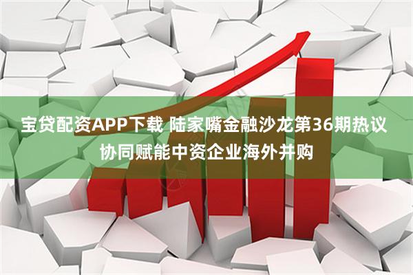 宝贷配资APP下载 陆家嘴金融沙龙第36期热议 协同赋能中资企业海外并购
