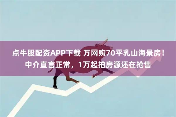 点牛股配资APP下载 万网购70平乳山海景房！中介直言正常，1万起拍房源还在抢售